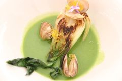 u. a. gab es am 4te Tag eine Koriander-Suppe u. a. gab es am 4te Tag eine Koriander-Suppe