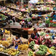 Märkte - Menschen - Abenteuer