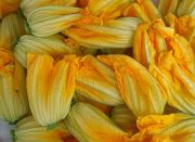 Basis für Sunflower-Salad Basis für Sunflower-Salad