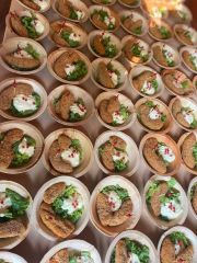 "von der Hand in den Mund"