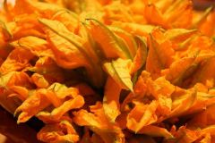 Zucchiniblüten - ein Gefühl von Sommer (Lieblingsbild 2019)