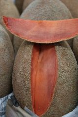 2ter Marktbesuch - mit kurzem Frühstücks-Streetfood-Stop 2ter Marktbesuch - mit kurzem Frühstücks-Streetfood-Stop