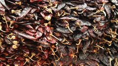 Tag 1 - Marktbesuch Tag 1 - Marktbesuch