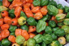 Tag 1 - Marktbesuch Tag 1 - Marktbesuch