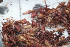 Tag 1 - Marktbesuch Tag 1 - Marktbesuch