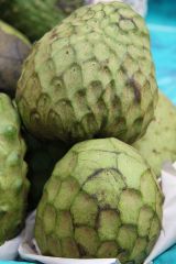 Tag 1 - Marktbesuch Tag 1 - Marktbesuch