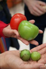 Tag 1 - Marktbesuch Tag 1 - Marktbesuch